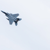 FA6A0878