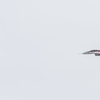 FA6A9923