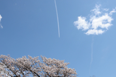 空