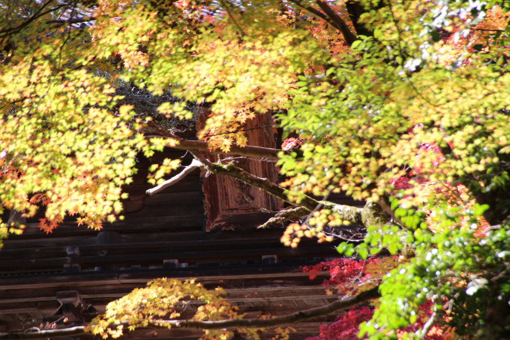 神護寺