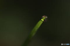 水滴