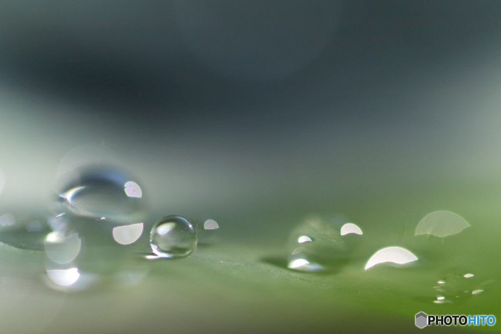 朝露　PhotoshopElements