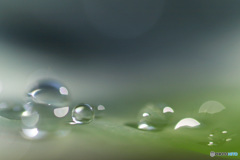 朝露　PhotoshopElements