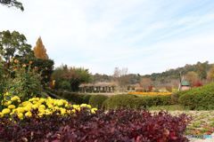 兵庫県立フラワーセンター