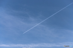 飛行機