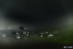 朝露
