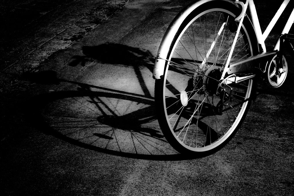 Shadow