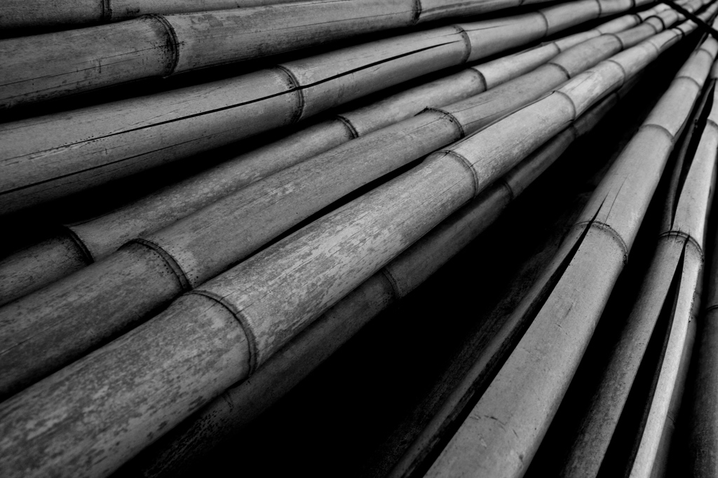 Bamboo