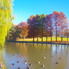 草加公園２