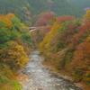 氷川渓谷の紅葉２