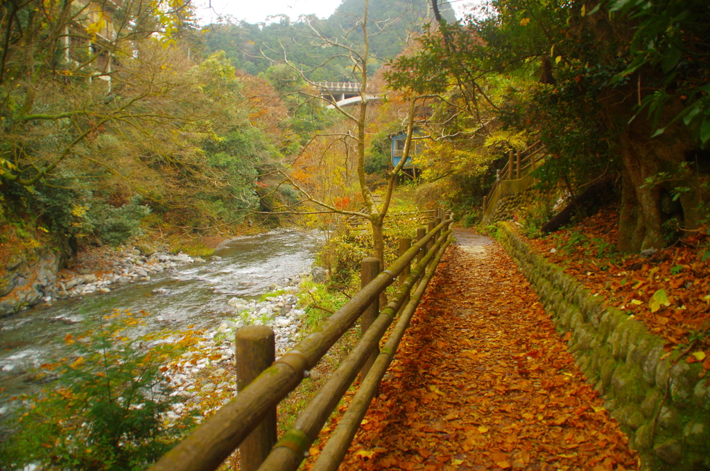 氷川渓谷沿いの遊歩道２