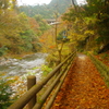 氷川渓谷沿いの遊歩道２
