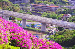 IMGP5264