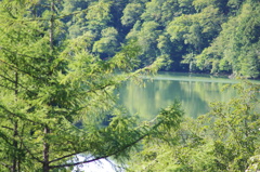 IMGP0753