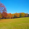 草加公園４
