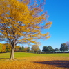 草加公園３