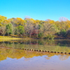 草加公園１