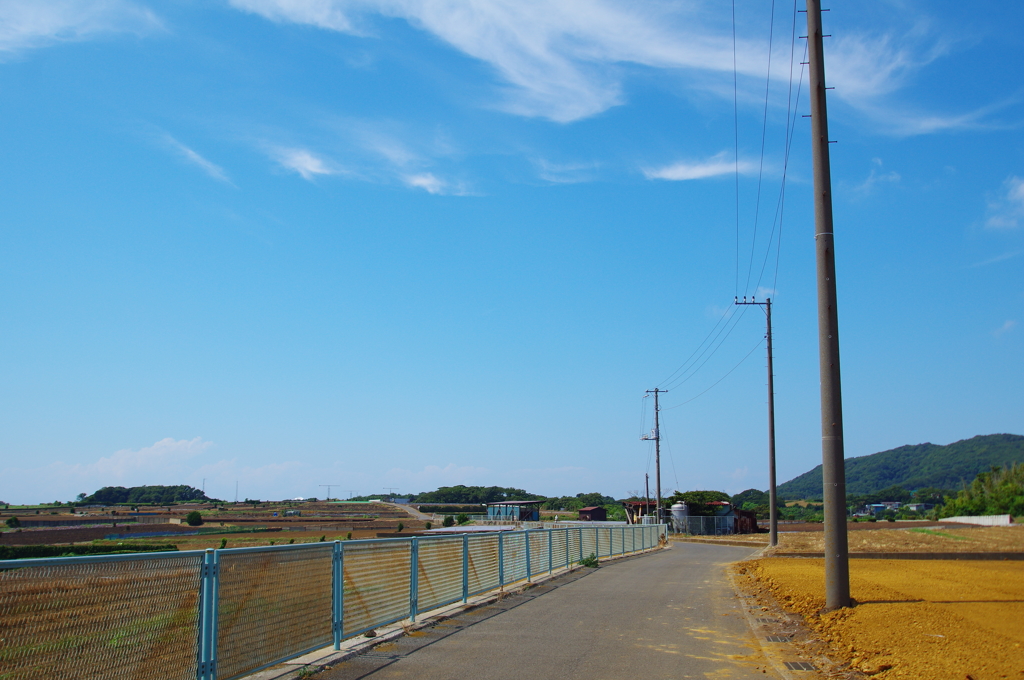 夏の小道