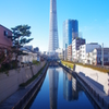 川面のスカイツリー