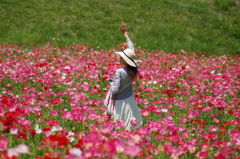 花畑と美女