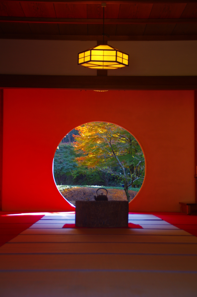 明月院・紅葉２