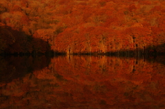 蔦沼の紅葉
