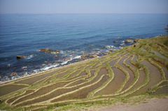 輪島　千枚田4