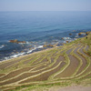 輪島　千枚田4