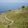 輪島　千枚田1