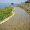 輪島　千枚田6