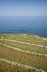 輪島　千枚田3