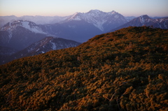 夕暮れの穂高の山々