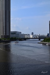 運河って、都会って感じ。。〔申二〕