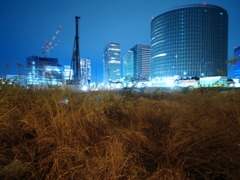 コントラスト
