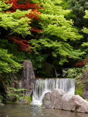 清涼