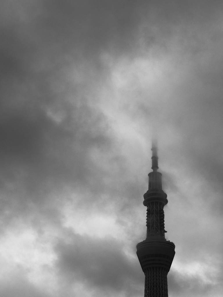 心も、