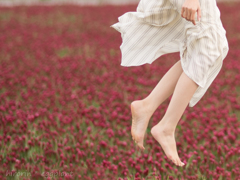 flying on the red carpet