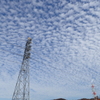 羊雲～♪