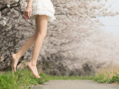 桜並木浮遊散歩