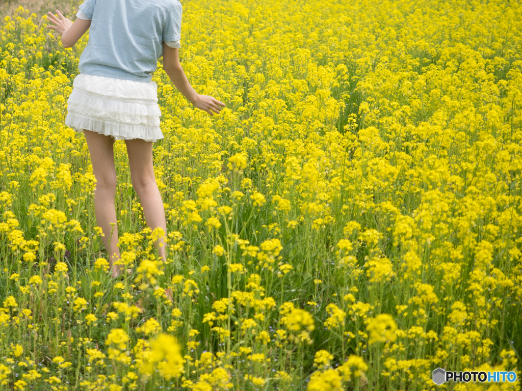 菜の花の花粉 By ナスの与一 Id 写真共有サイト Photohito
