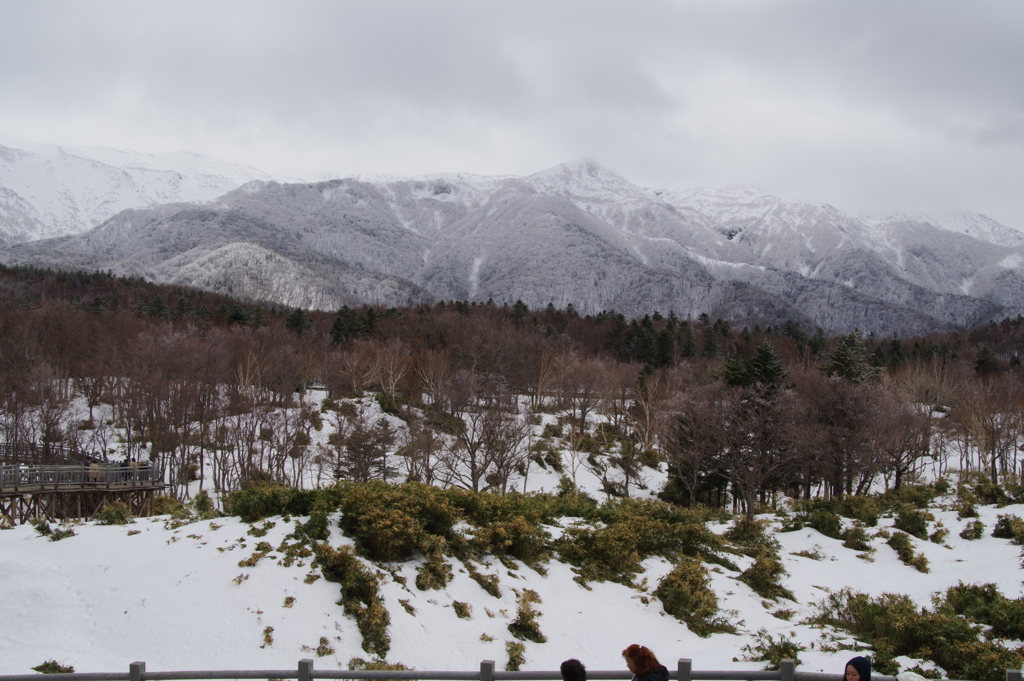 北海道はまだまだ冬4