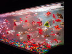 アクアリウム展