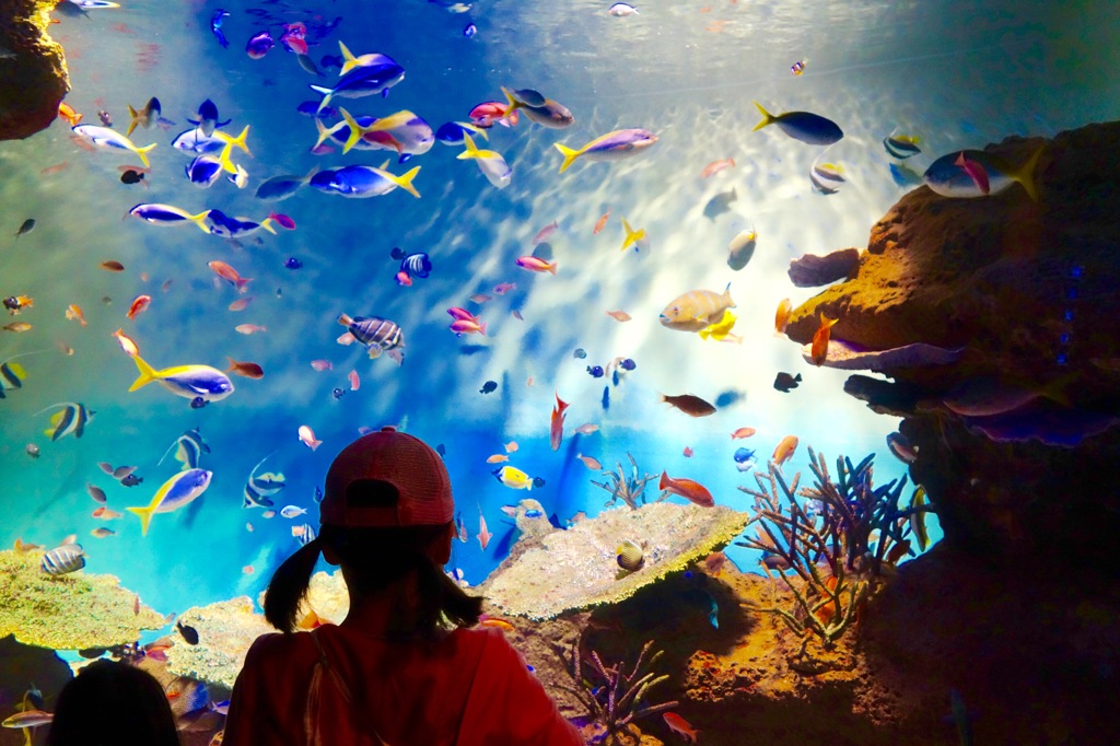 水族館