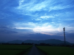 散歩道