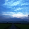 散歩道