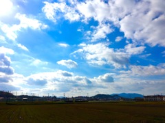 大人は見えない