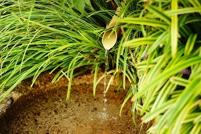 酒蔵の湧水