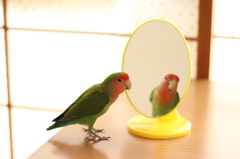 みだしなみチェック