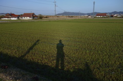 影