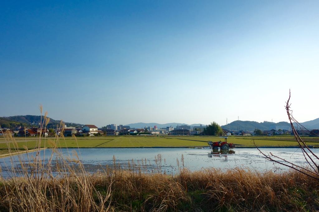 風景